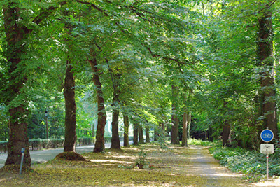 fietspad in Golflaan Latem