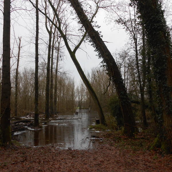 kerstwandeling 2016