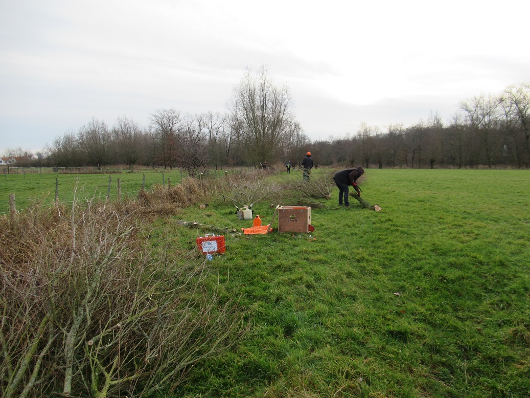 foto's kerstwandeling 2019