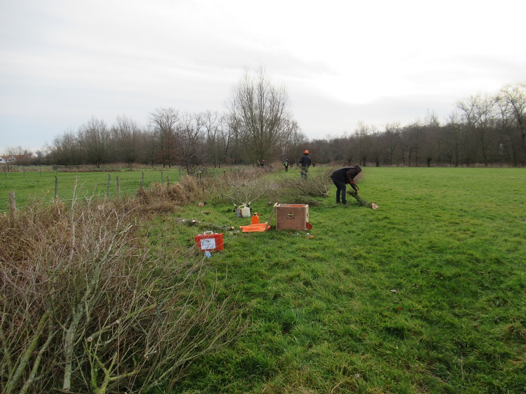 foto's kerstwandeling 2019