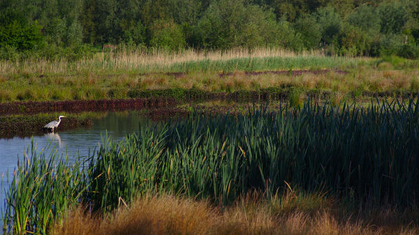 foto's Natuur.Ontbijt 2017