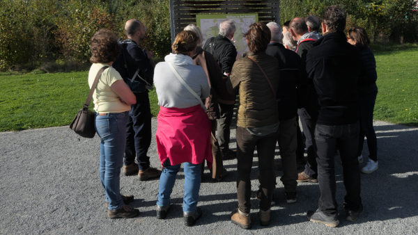 foto's Parkboswandeling oktober 2019